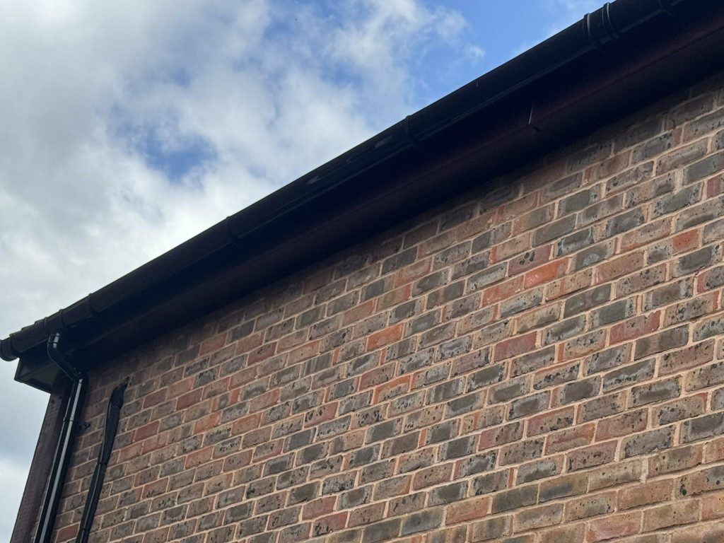 541231071_798424656476468_1337377834654409939_n